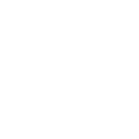 OEM/ODM ico