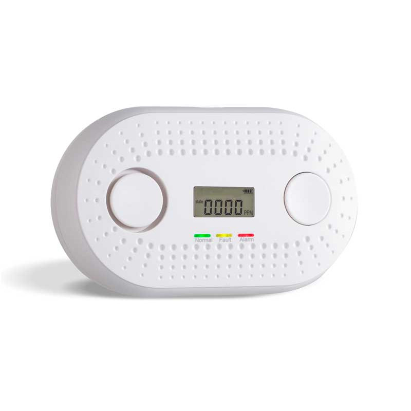 Carbon Monoxide Detector